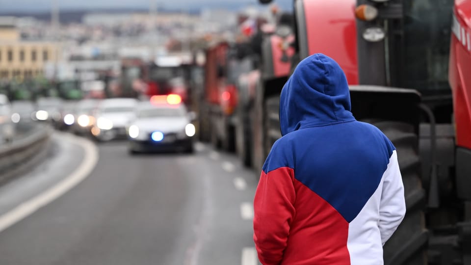 Фото: René Volfík,  iROZHLAS.cz