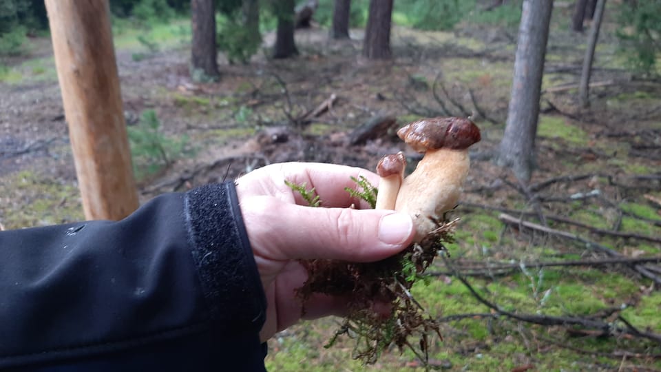 /r/czech/kokorinsko/kokorinsko_peklo/stezka_peklo16.jpg | Фото: Lenka Žižková, Radio Prague International /r/czech/kokorinsko/kokorinsko_peklo/stezka_peklo16.jpg | Фото: Lenka Žižková, Radio Prague International