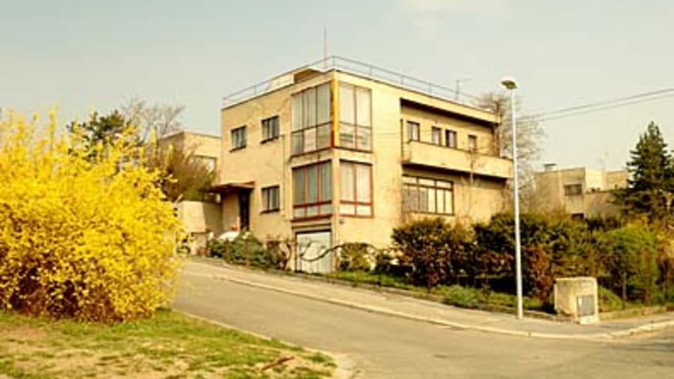 Фото: Михаил Шолк Фото: Михаил Шолк