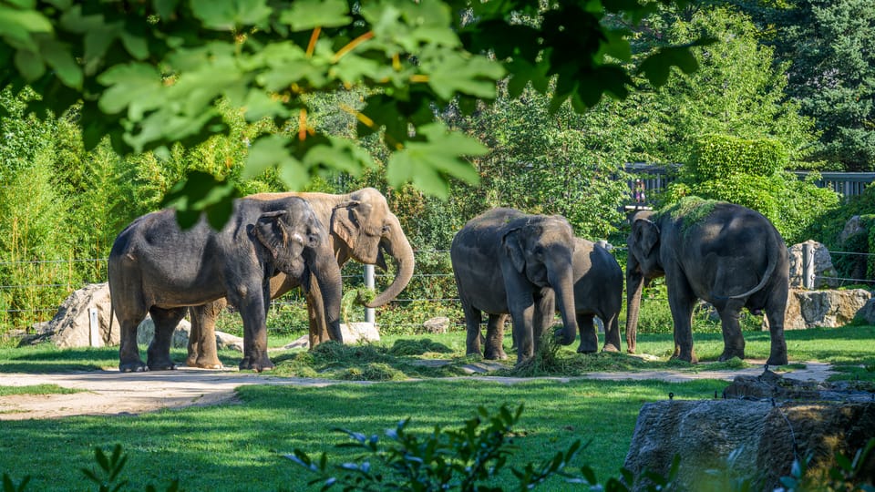 Фото: ZOO Praha