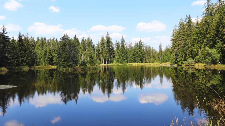 Фото: Naďa Krásná,  Český rozhlas