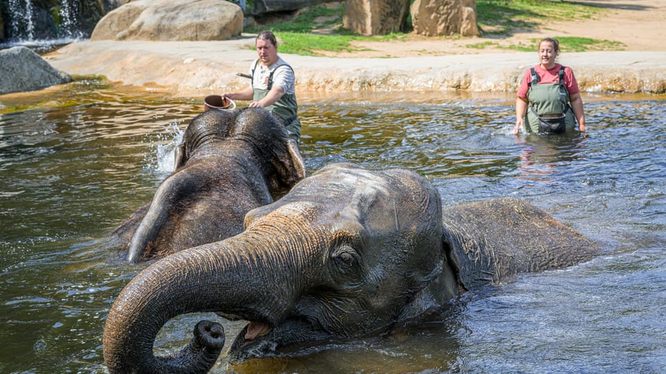 Фото: ZOO Praha