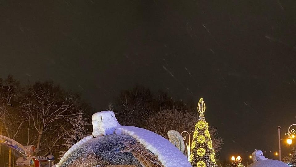 Фото: Андрей Новгородский Фото: Андрей Новгородский