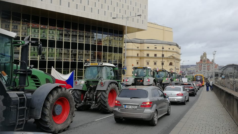 Фото: Štěpánka Budková,  Radio Prague International