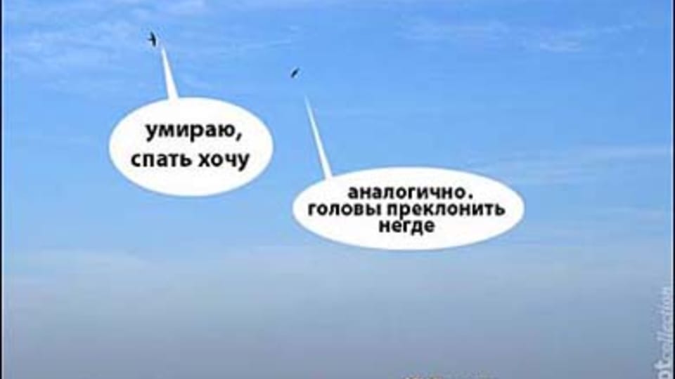 Фотография Александра Кораблёва Фотография Александра Кораблёва