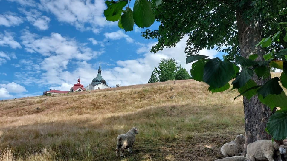 Зелена гора | Фото: Irena Šarounová, Český rozhlas Зелена гора | Фото: Irena Šarounová, Český rozhlas