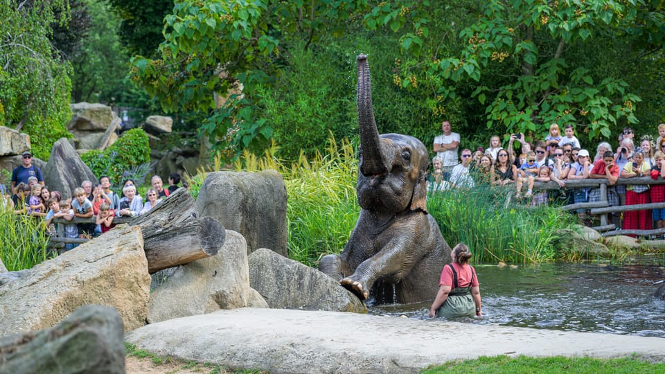 Фото: ZOO Praha