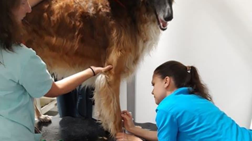 Фото: Вендула Свободова Фото: Вендула Свободова