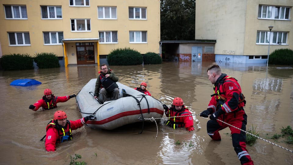 Фото: René Volfík,  iROZHLAS.cz