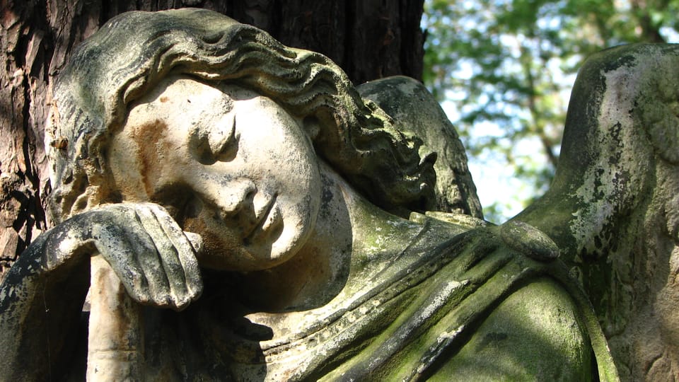 Ольшанское кладбище | Фото: Štěpánka Budková, Radio Prague International Ольшанское кладбище | Фото: Štěpánka Budková, Radio Prague International