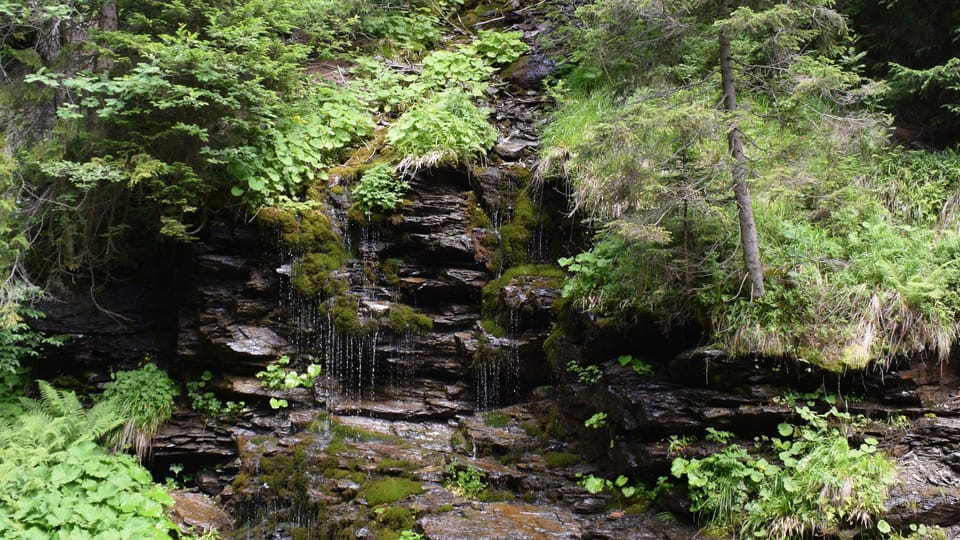 Фото: Vojtěch Ruschka Фото: Vojtěch Ruschka