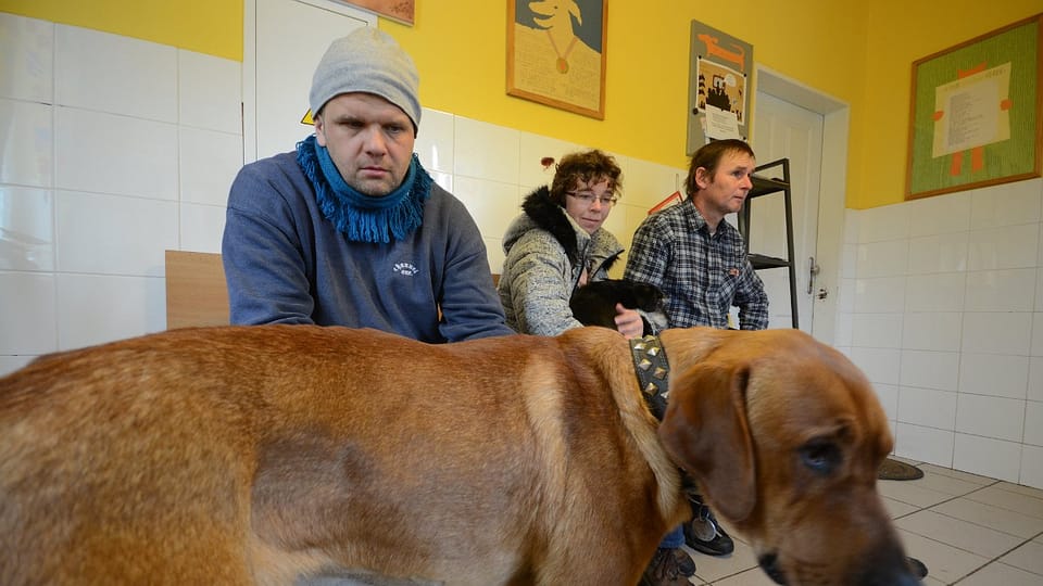 Фото: Эва Туречкова, Radio Prague International Фото: Эва Туречкова, Radio Prague International