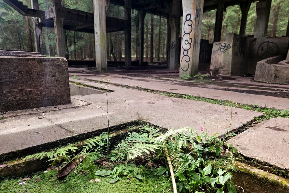 Фото: Štěpánka Budková,  Radio Prague International