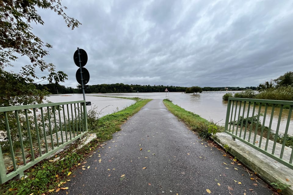 Фото: Honza Ptáček,  Český rozhlas