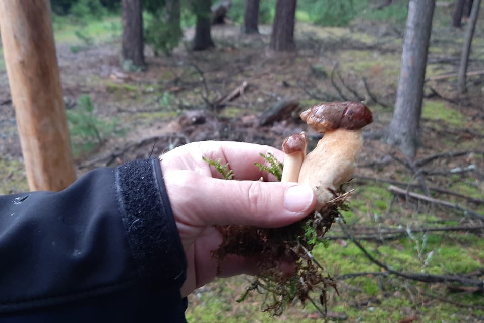 /r/czech/kokorinsko/kokorinsko_peklo/stezka_peklo16.jpg | Фото: Lenka Žižková, Radio Prague International /r/czech/kokorinsko/kokorinsko_peklo/stezka_peklo16.jpg | Фото: Lenka Žižková, Radio Prague International