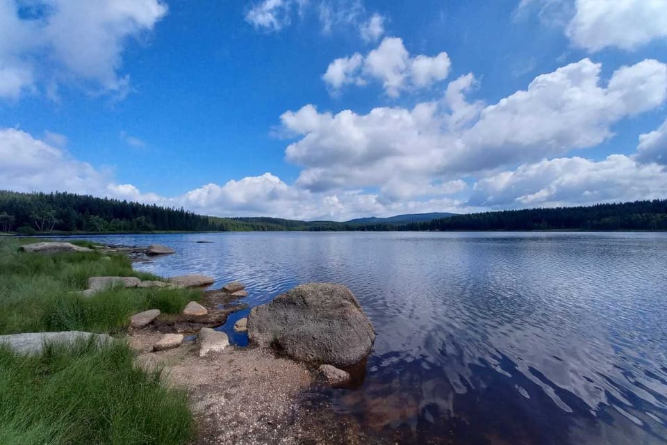 Бедржиховское водохранилище | Фото: Magdalena Kašubová, Radio Prague International Бедржиховское водохранилище | Фото: Magdalena Kašubová, Radio Prague International