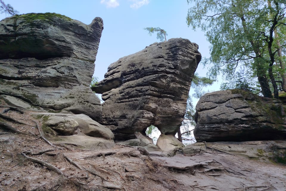 Фото: Barbora Němcová, Radio Prague International Фото: Barbora Němcová, Radio Prague International