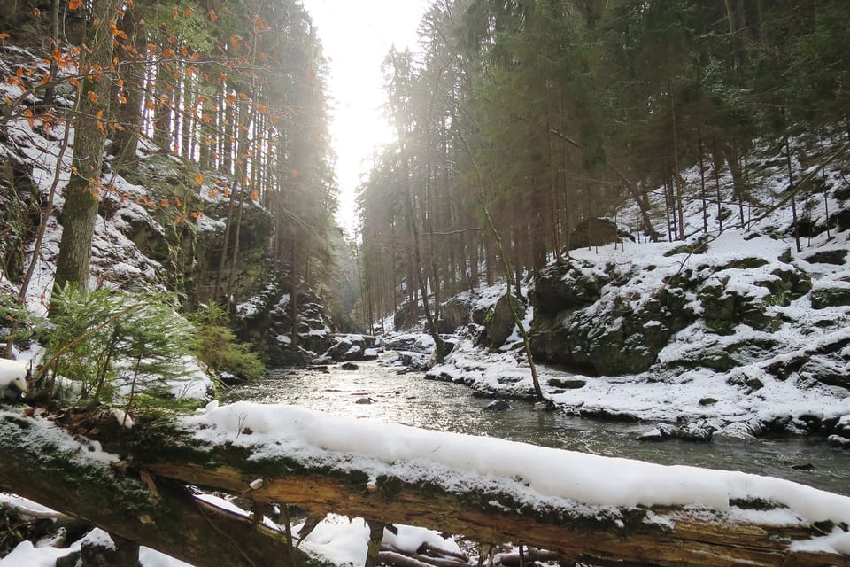 Река Доубрава | Фото: Tereza Brázdová, Český rozhlas Река Доубрава | Фото: Tereza Brázdová, Český rozhlas