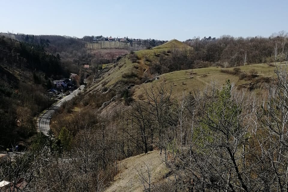 Заповедник Гомолка, фото: Štěpánka Budková Заповедник Гомолка, фото: Štěpánka Budková