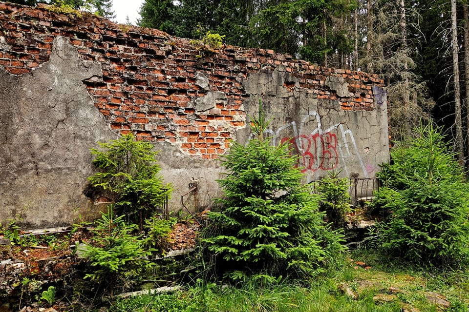Фото: Štěpánka Budková,  Radio Prague International
