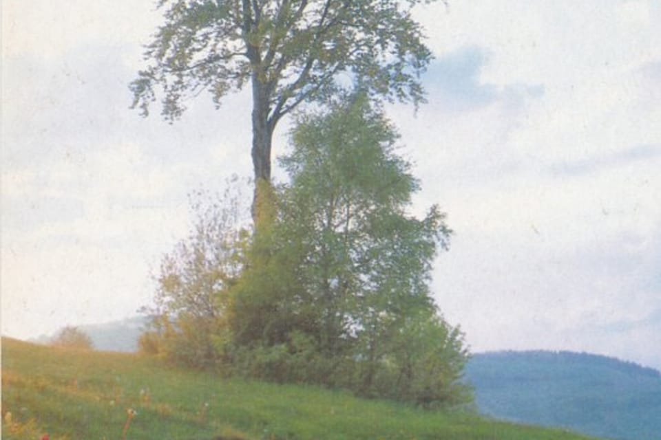 QSL 1992 | Фото: APF Český rozhlas QSL 1992 | Фото: APF Český rozhlas