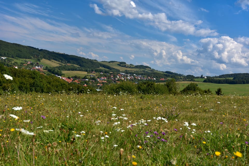 Фото: Zdeněk Urbanovský, Český rozhlas Фото: Zdeněk Urbanovský, Český rozhlas