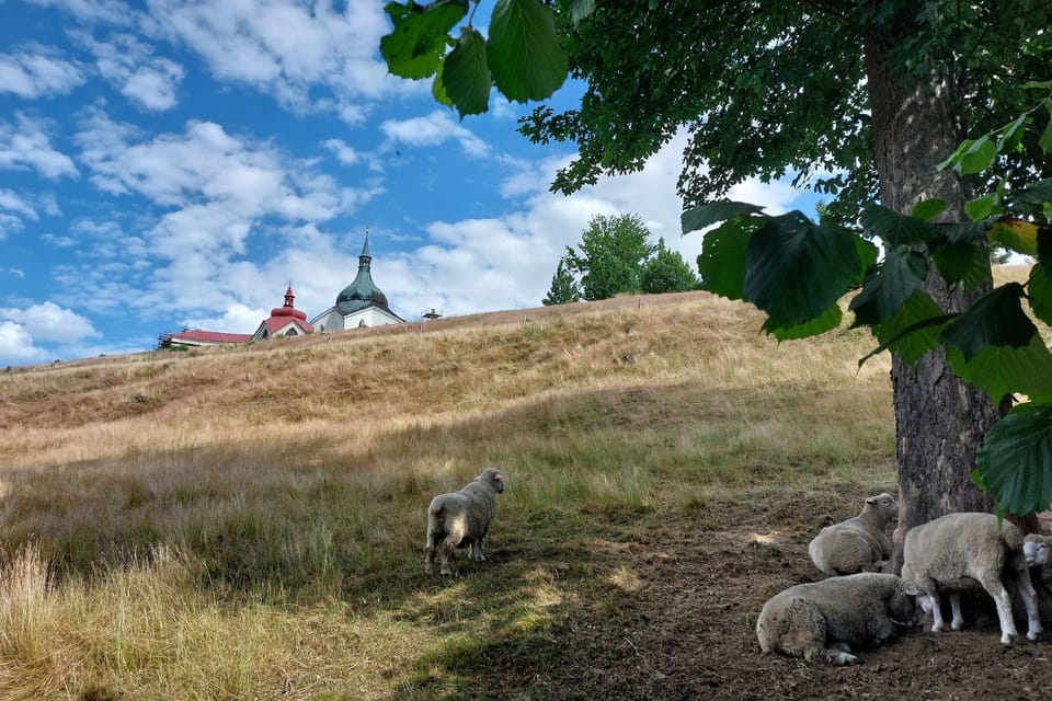 Зелена гора | Фото: Irena Šarounová, Český rozhlas Зелена гора | Фото: Irena Šarounová, Český rozhlas