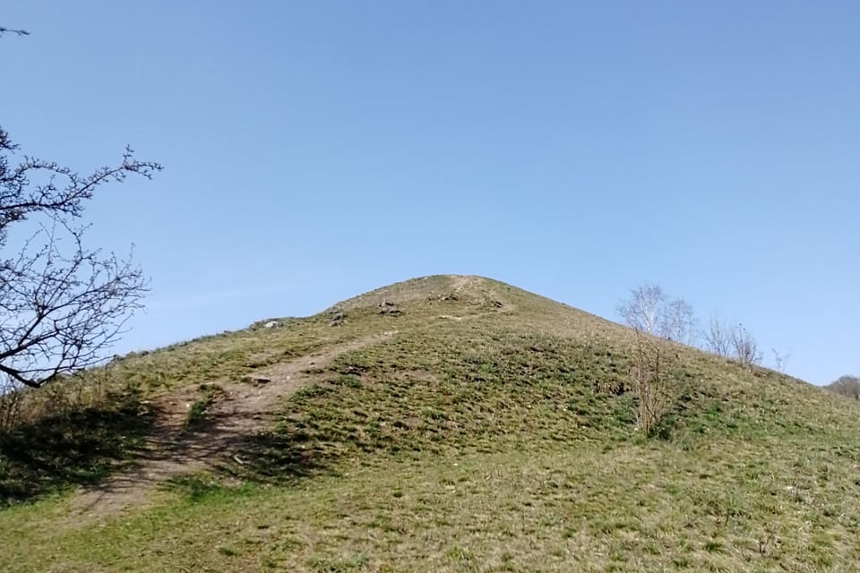 Гомолка, фото: Štěpánka Budková Гомолка, фото: Štěpánka Budková