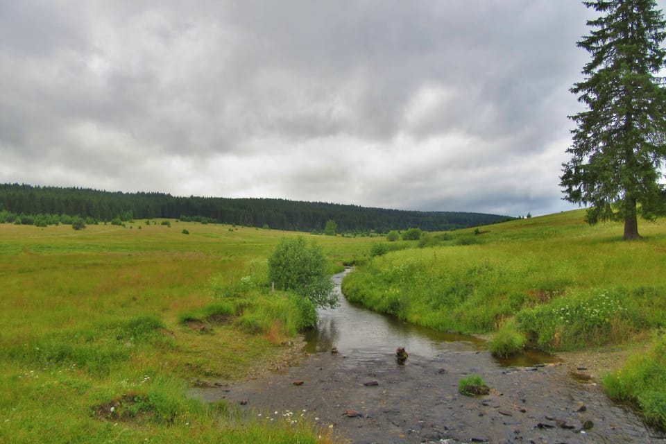 Фото: Pavel Halla,  Český rozhlas